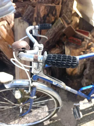 Bicicleta Clásica Azul