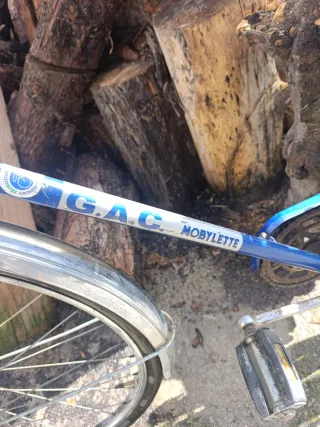 Bicicleta Clásica Azul