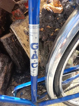 Bicicleta Clásica Azul