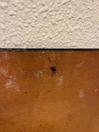 Cuadro mujer renacentista