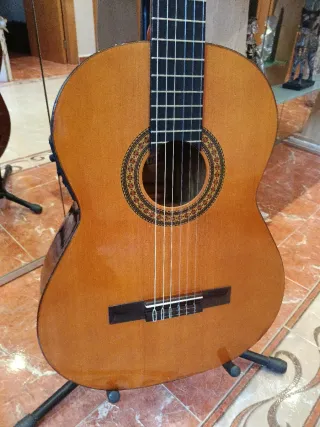 Guitarra Admira Palosanto