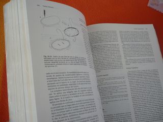 MEDICINA Y CIRUGIA EN ESPECIES PEQUEÑAS ( BOJRAB )