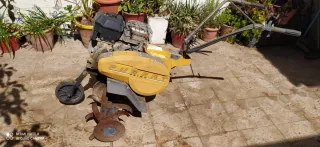 Motoazada Pubert Primo