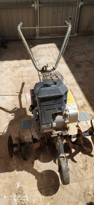 Motoazada Pubert Primo