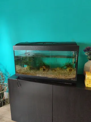 Acuario 96L con accesorios