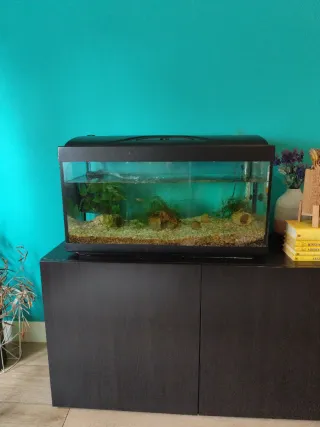 Acuario 96L con accesorios