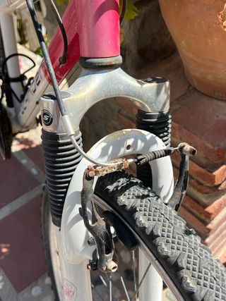 Bicicleta Romester Azul y Rosa