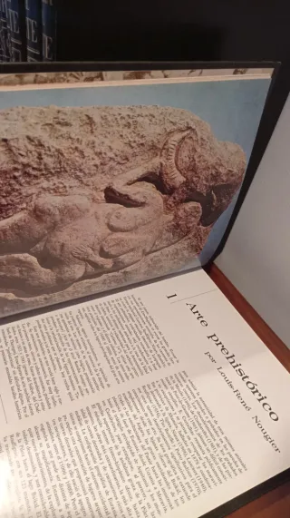 LIBROS HISTORIA DEL ARTE COLECCIÓN 10 TOMOS