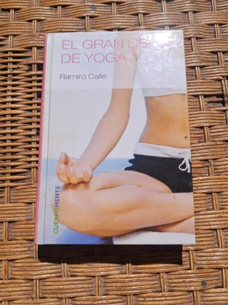El gran libro de yoga