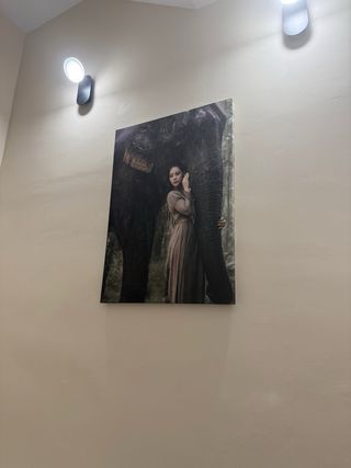 Lienzo Decorativo: Mujer y Elefante