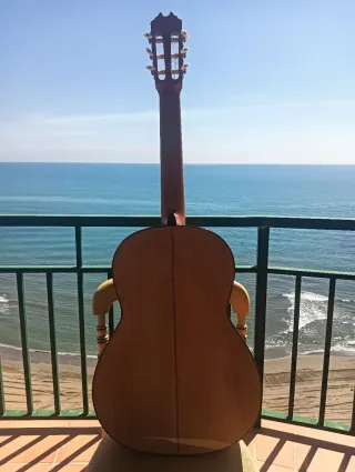Guitarra Flamenca entera maciza prudencio Sáez fp1