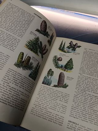 Enciclopedia de las CIENCIAS NATURALES – COMPLETA 4 TOMOS EDITORIAL BRUGUERA 1962