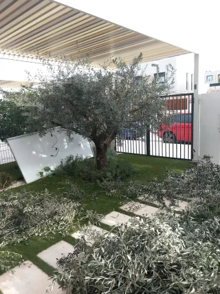 Jardinero Profesional