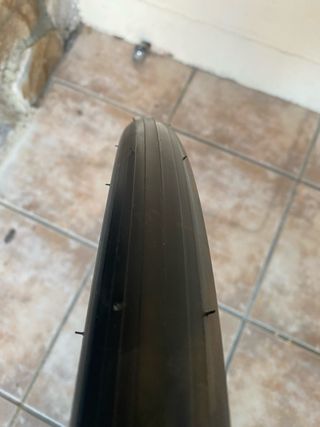 Rueda Bicicleta Shimano para Rodillo Continental