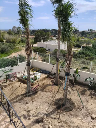 MANTENIMIENTO JARDINERIA