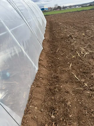 Invernadero túnel 15 metros de largo por 8 de anch