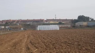 Invernadero túnel 15 metros de largo por 8 de anch
