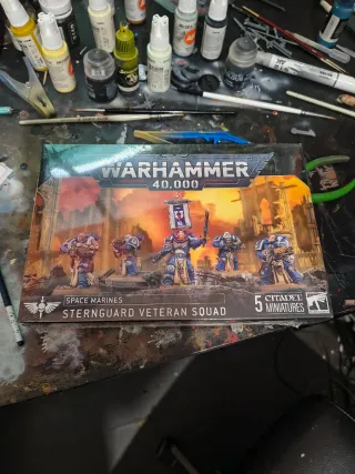 PINTADO + Warhammer 40,000: Sternguard Veteran Squ