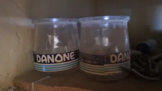 Antichi bicchieri Danone (2 unità)