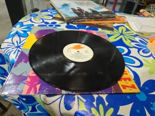 Vinilo Los Rodriguez Sin Documentos