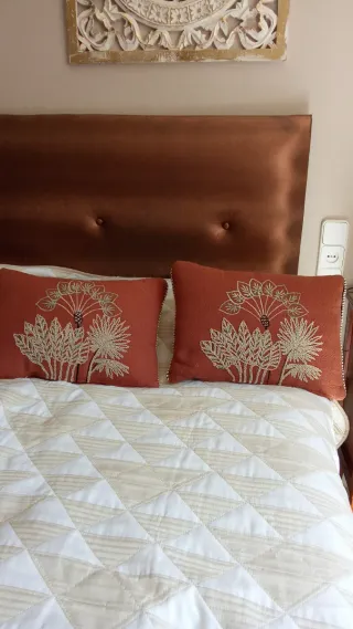Dos cojines decorativos con bordado