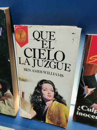 Lote 8 NOVELAS ROMÁNTICAS, Cásate conmigo, tu pasado me condena, Volver a Amar, La luna del Cazador y mas.