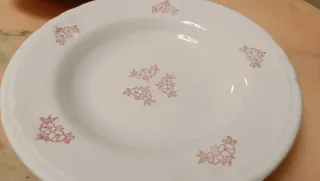 6 piatti fondi decorati fiori rosa