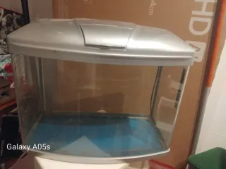 Acuario con termómetro y luz