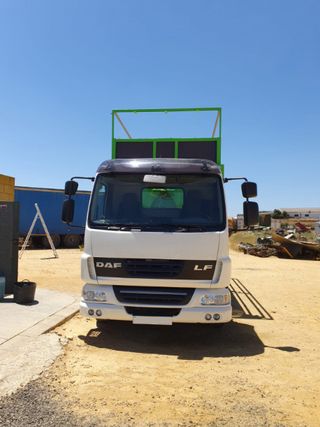 DAF LF 45 200-CAMIONES GANCHO PORTACONTENEDOR