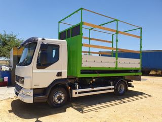 DAF LF 45 200-CAMIONES GANCHO PORTACONTENEDOR