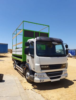 DAF LF 45 200-CAMIONES GANCHO PORTACONTENEDOR