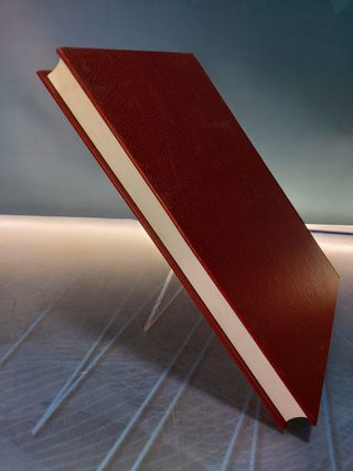 Estudio de la manifestación del carácter rizomatosao el la mielga (Medicago sativa L.) en función del manejo del cultivo _ Abderrahmen Ben Chaâbane.