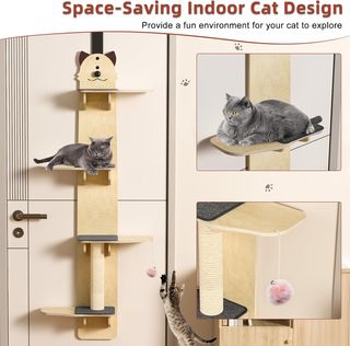 Albero Tiragraffi Verticale da Appendere LE032