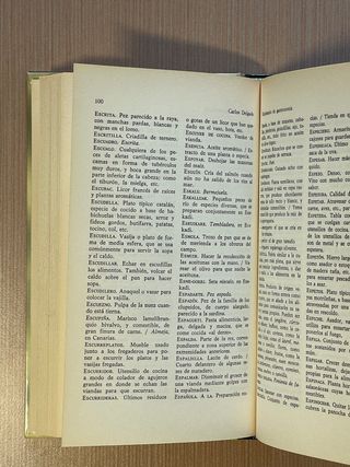 Diccionario De Gastronomia