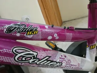 Bicicleta infantil morada