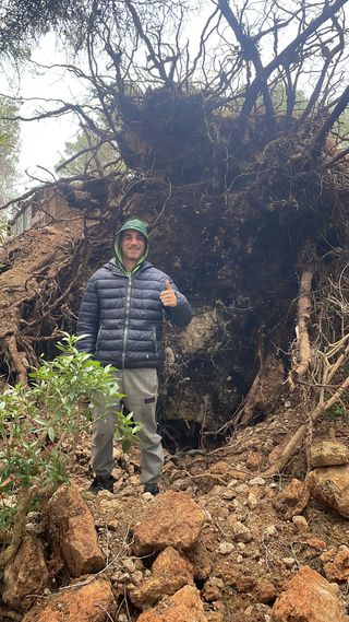 Poda en altura Preguntar sin compromiso