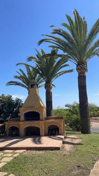 Poda en altura Preguntar sin compromiso