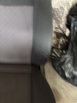 Asiento conductor  de seat Ibiza Sport 130