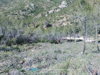 Somos dos autónomos con experiencia en desbroce ma