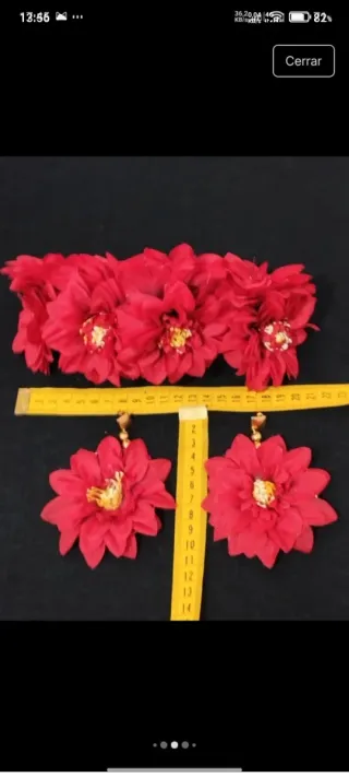 Corona y pendientes flamenca flores rojas