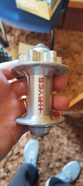 Bujes DT Swiss Hayes delantero