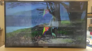 TV Philips 43 Averiada