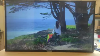 TV Philips 43 Averiada