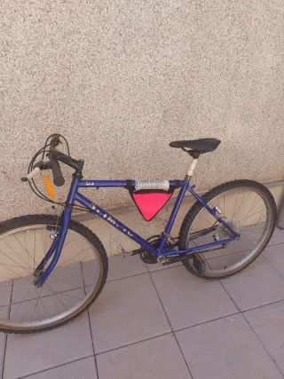 Bicicleta Azul