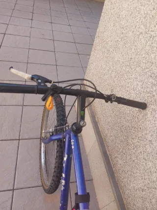 Bicicleta Azul