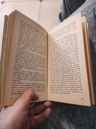 Siddharta - Hermann Hesse.