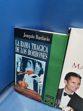 lote 9 libros sobre EL REY, memorias de memoria y mas