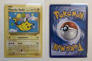 Lote Coleccionismo TCG: Fundas + cartas Evo XY