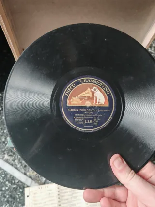 Collezione 50 vinili Grammofono Classica