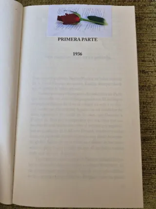 El niño en la cima de la montaña (Spanish Edition)